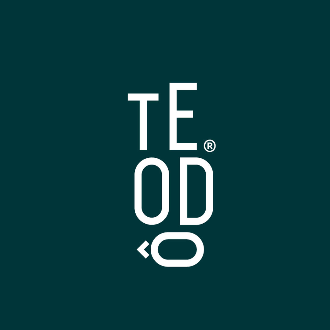 (c) Teodo.com.br